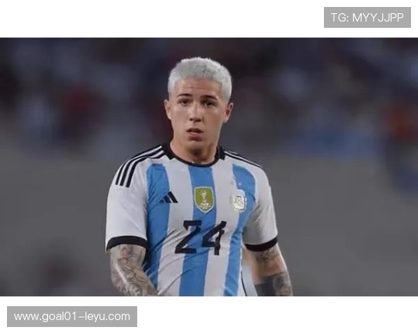 恩佐·费尔南德斯：阿根廷中场新星的崛起与未来潜力