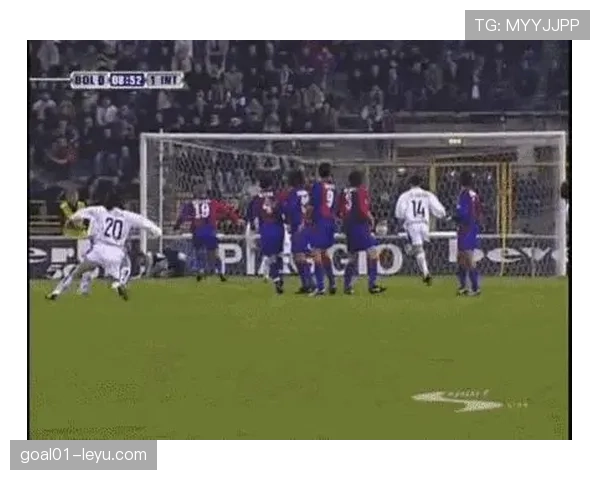 南美足球彰显团结与激情，文化交融吸引全球目光